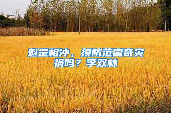 魁罡相冲，须防范离奇灾祸吗？李双林
