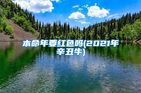 本命年要红色吗(2021年辛丑牛)