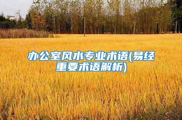 办公室风水专业术语(易经重要术语解析)