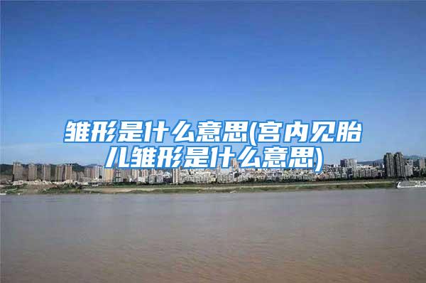 雏形是什么意思(宫内见胎儿雏形是什么意思)