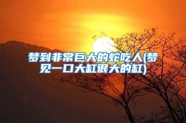 梦到非常巨大的蛇吃人(梦见一口大缸很大的缸)