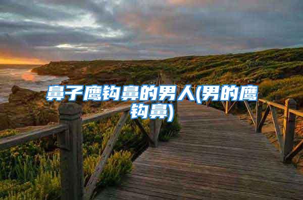 鼻子鹰钩鼻的男人(男的鹰钩鼻)