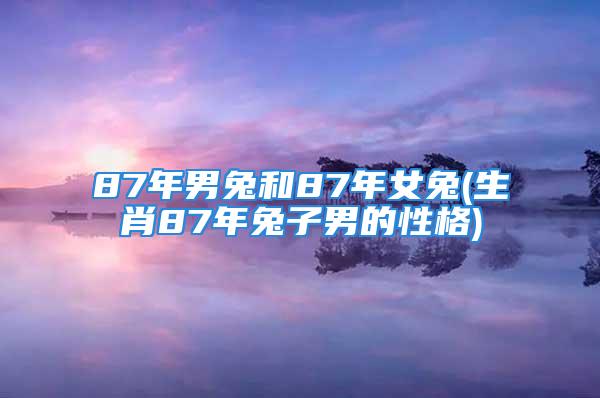 87年男兔和87年女兔(生肖87年兔子男的性格)