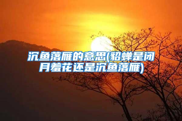沉鱼落雁的意思(貂蝉是闭月羞花还是沉鱼落雁)