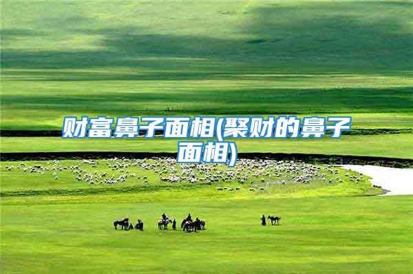 财富鼻子面相(聚财的鼻子面相)