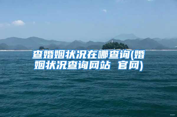 查婚姻状况在哪查询(婚姻状况查询网站 官网)