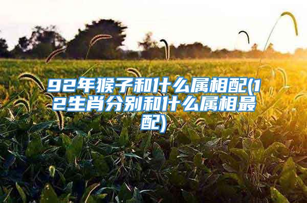 92年猴子和什么属相配(12生肖分别和什么属相最配)