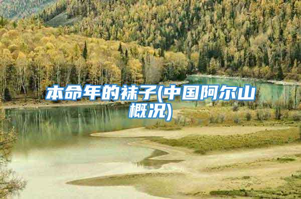 本命年的袜子(中国阿尔山概况)
