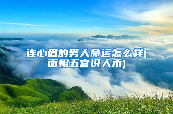 连心眉的男人命运怎么样(面相五官识人术)