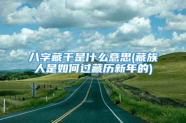 八字藏干是什么意思(藏族人是如何过藏历新年的)