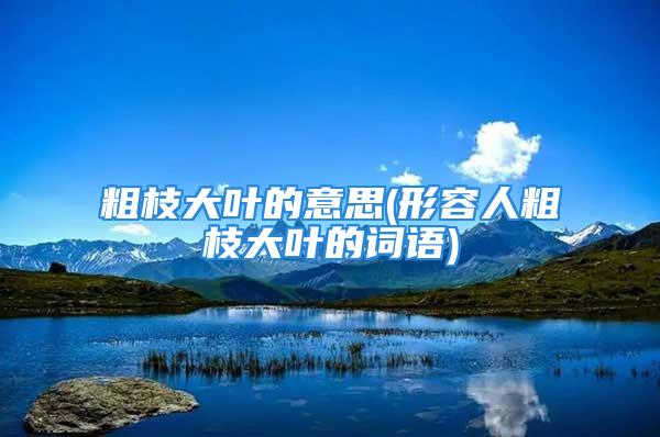 粗枝大叶的意思(形容人粗枝大叶的词语)