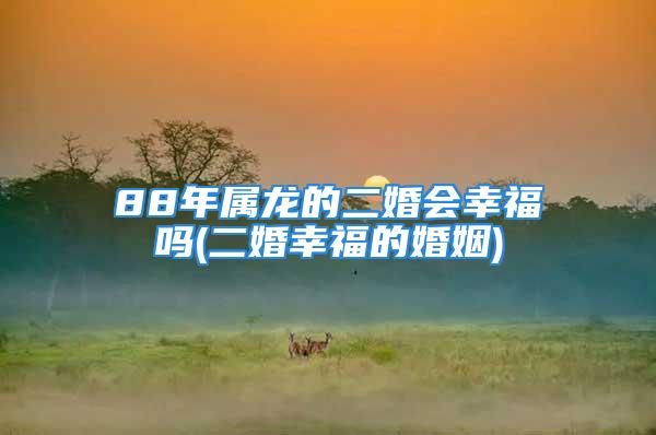 88年属龙的二婚会幸福吗(二婚幸福的婚姻)