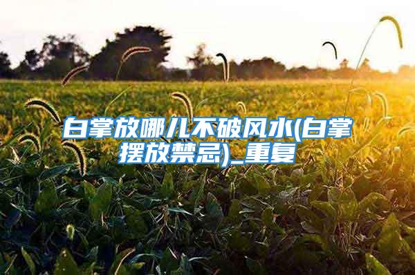 白掌放哪儿不破风水(白掌摆放禁忌)_重复
