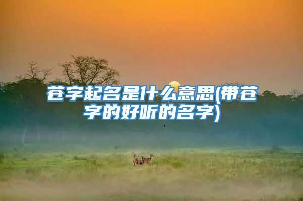 苍字起名是什么意思(带苍字的好听的名字)