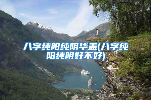 八字纯阳纯阴华盖(八字纯阳纯阴好不好)