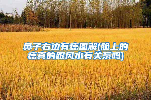 鼻子右边有痣图解(脸上的痣真的跟风水有关系吗)