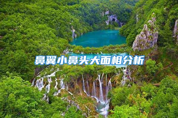 鼻翼小鼻头大面相分析