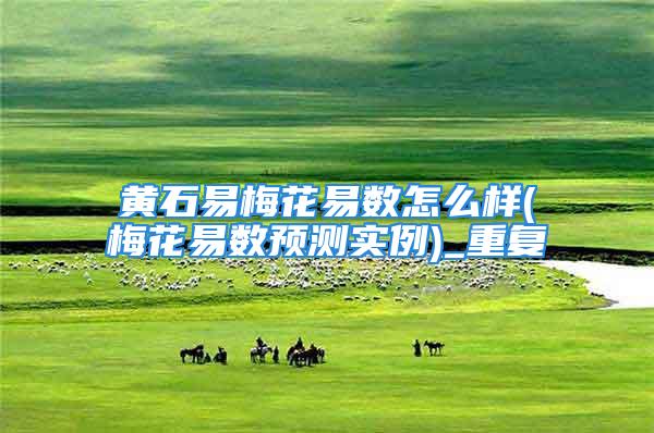 黄石易梅花易数怎么样(梅花易数预测实例)_重复