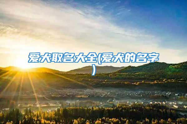 爱犬取名大全(爱犬的名字)