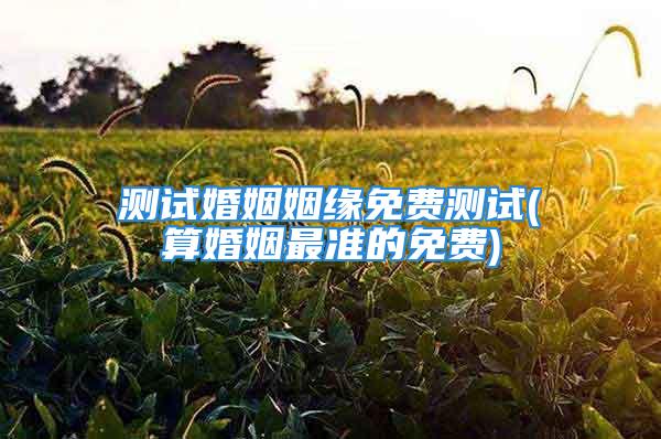 测试婚姻姻缘免费测试(算婚姻最准的免费)