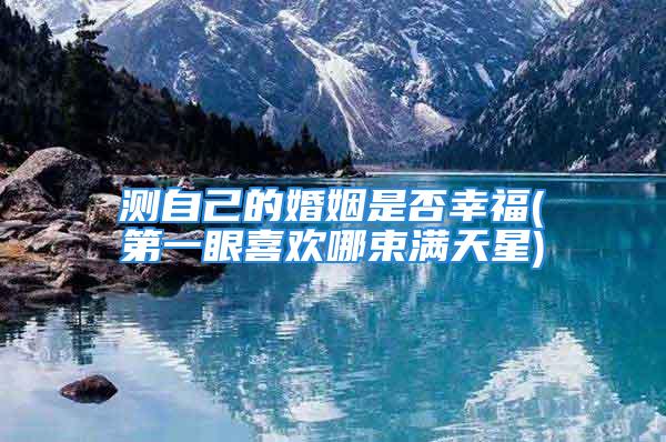 测自己的婚姻是否幸福(第一眼喜欢哪束满天星)