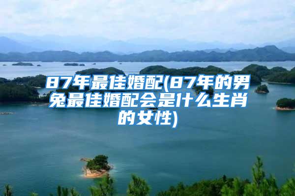 87年最佳婚配(87年的男兔最佳婚配会是什么生肖的女性)