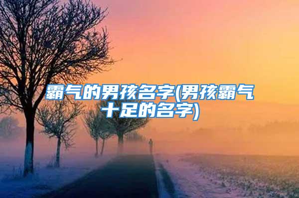 霸气的男孩名字(男孩霸气十足的名字)