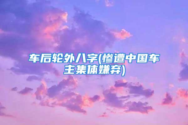 车后轮外八字(惨遭中国车主集体嫌弃)