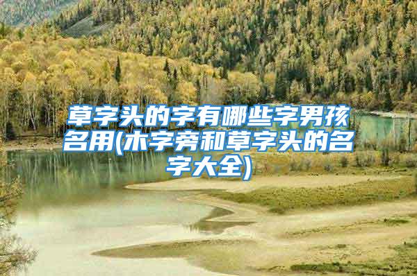 草字头的字有哪些字男孩名用(木字旁和草字头的名字大全)
