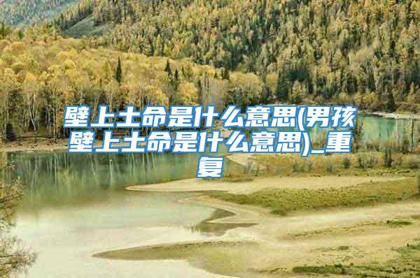 壁上土命是什么意思(男孩壁上土命是什么意思)_重复