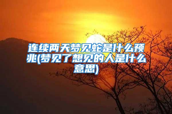 连续两天梦见蛇是什么预兆(梦见了想见的人是什么意思)