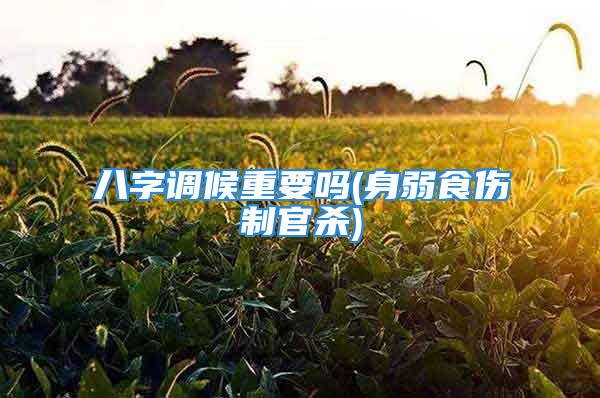 八字调候重要吗(身弱食伤制官杀)