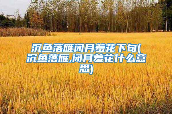 沉鱼落雁闭月羞花下句(沉鱼落雁,闭月羞花什么意思)