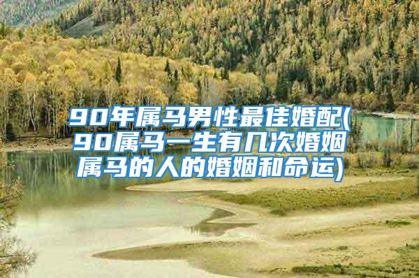 90年属马男性最佳婚配(90属马一生有几次婚姻属马的人的婚姻和命运)