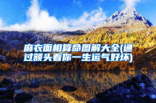 麻衣面相算命图解大全(通过额头看你一生运气好坏)