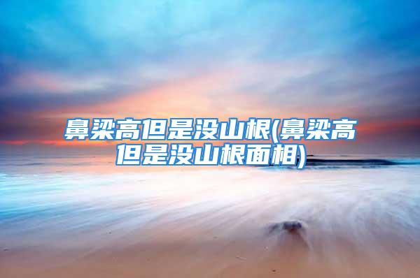 鼻梁高但是没山根(鼻梁高但是没山根面相)