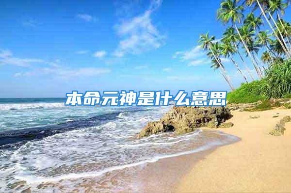 本命元神是什么意思