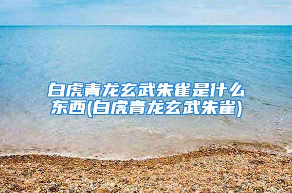 白虎青龙玄武朱雀是什么东西(白虎青龙玄武朱雀)