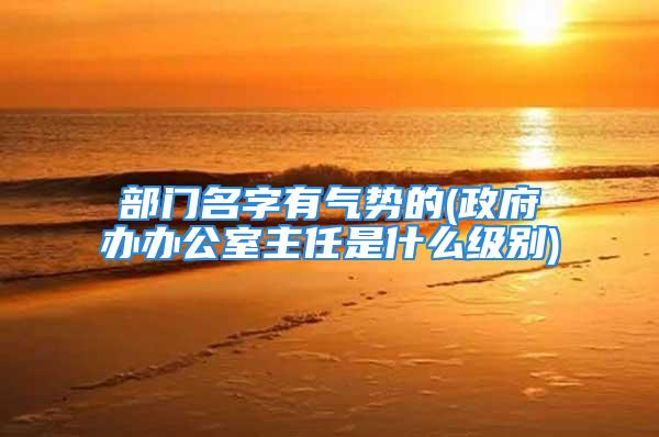 部门名字有气势的(政府办办公室主任是什么级别)