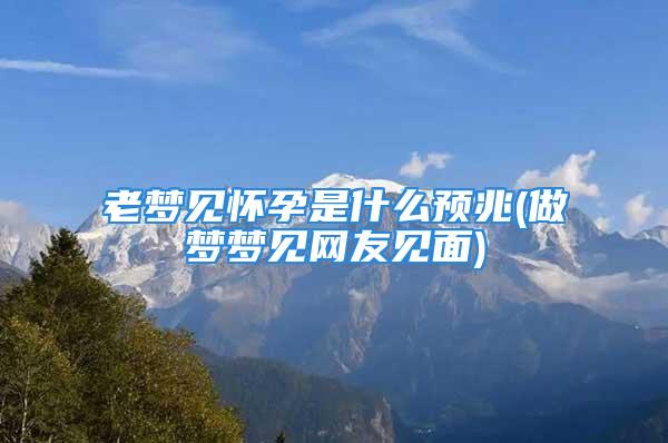 老梦见怀孕是什么预兆(做梦梦见网友见面)