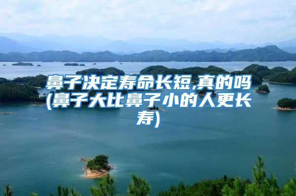 鼻子决定寿命长短,真的吗(鼻子大比鼻子小的人更长寿)