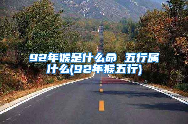 92年猴是什么命 五行属什么(92年猴五行)