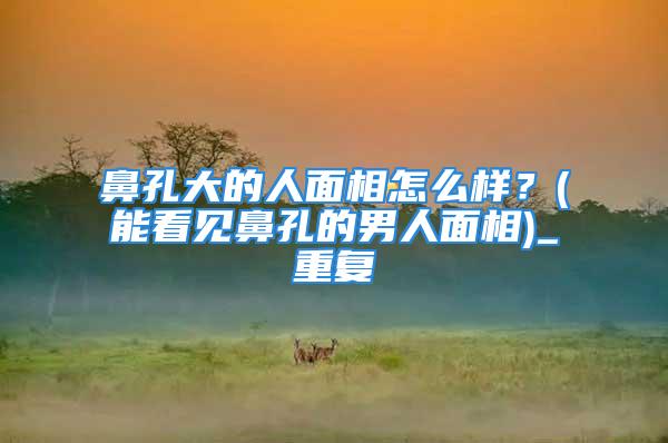 鼻孔大的人面相怎么样？(能看见鼻孔的男人面相)_重复
