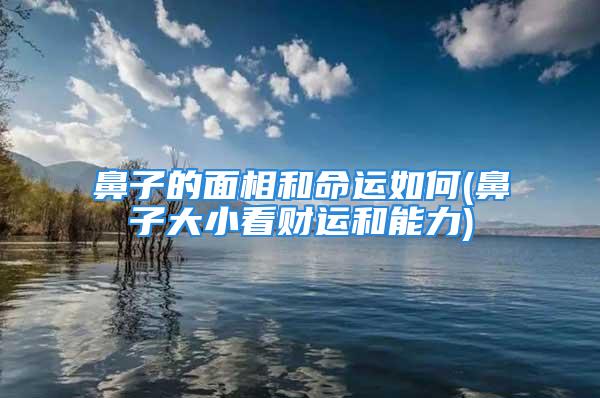 鼻子的面相和命运如何(鼻子大小看财运和能力)