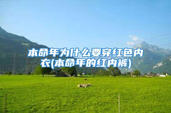 本命年为什么要穿红色内衣(本命年的红内裤)
