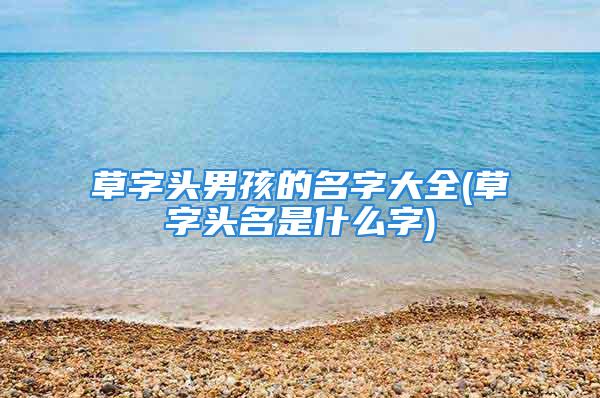 草字头男孩的名字大全(草字头名是什么字)