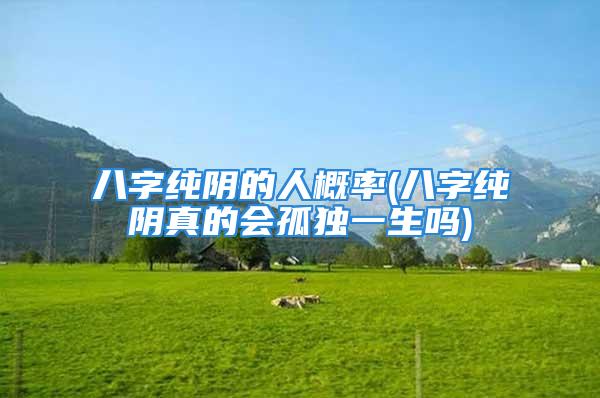 八字纯阴的人概率(八字纯阴真的会孤独一生吗)
