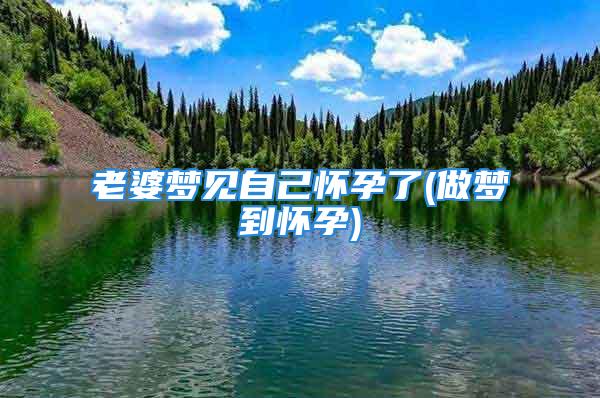 老婆梦见自己怀孕了(做梦到怀孕)