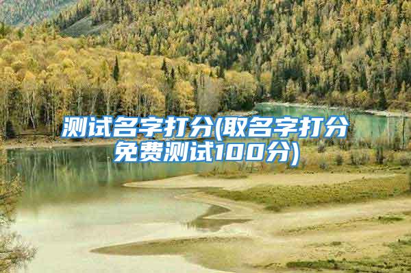 测试名字打分(取名字打分免费测试100分)