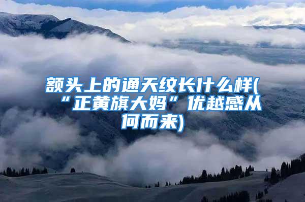 额头上的通天纹长什么样(“正黄旗大妈”优越感从何而来)